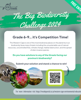 The Big Biodiversity Challenge 2024